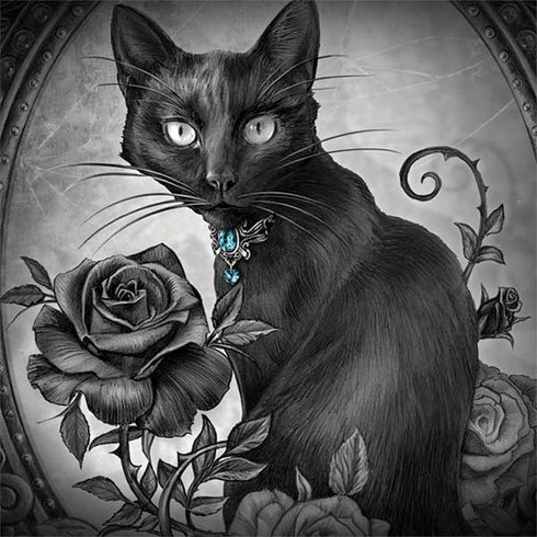 Alchemy Paracelsus - The Philosophers Familiar Notebook 9 Pro 13in (2017) Skin